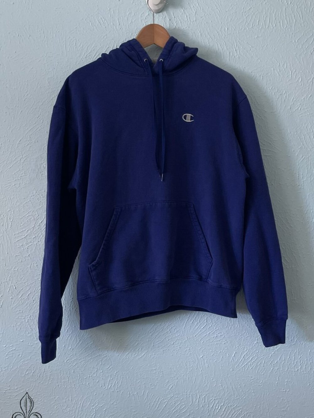🩵Champion Blue Hoodie🩵
